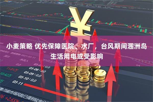小麦策略 优先保障医院、水厂，台风期间涠洲岛生活用电或受影响