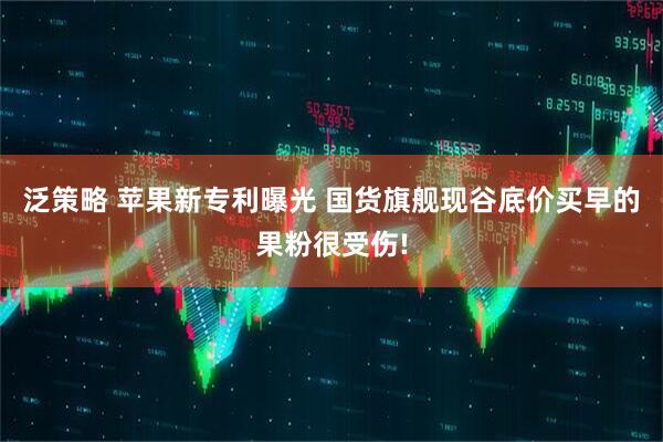 泛策略 苹果新专利曝光 国货旗舰现谷底价买早的果粉很受伤!