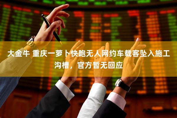 大金牛 重庆一萝卜快跑无人网约车载客坠入施工沟槽，官方暂无回应
