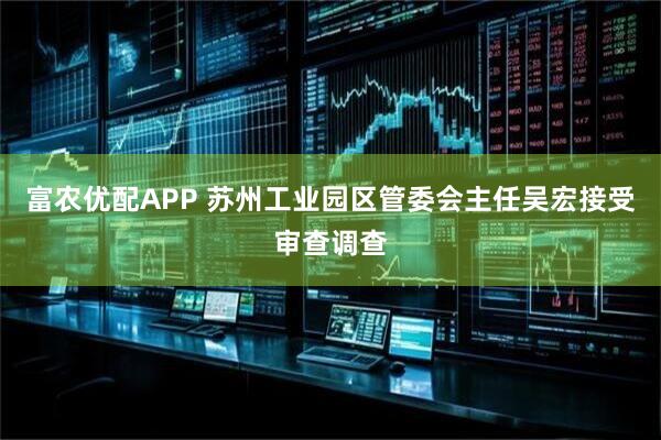 富农优配APP 苏州工业园区管委会主任吴宏接受审查调查