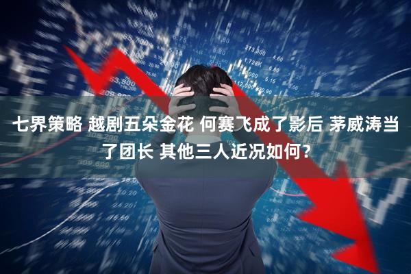 七界策略 越剧五朵金花 何赛飞成了影后 茅威涛当了团长 其他三人近况如何？