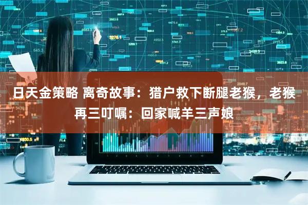 日天金策略 离奇故事：猎户救下断腿老猴，老猴再三叮嘱：回家喊羊三声娘