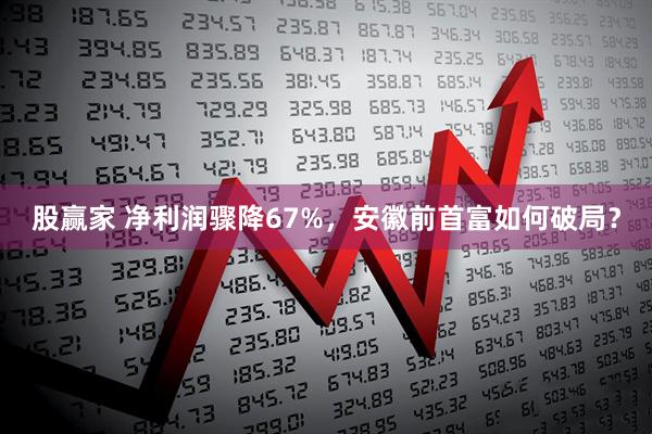 股赢家 净利润骤降67%，安徽前首富如何破局？